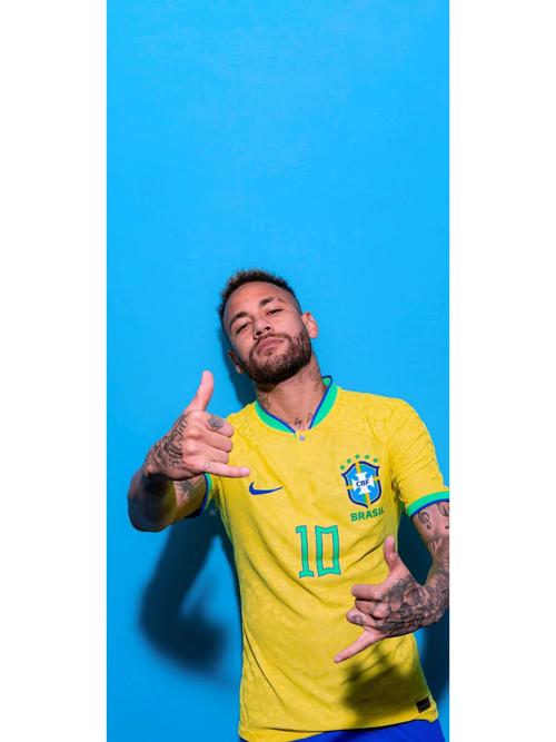 意媒：意甲或引入足球视频支持系统，主帅每场有两次挑战机会（意媒：意甲考虑启用视频判罚辅助，主帅每场可获两次挑战权）